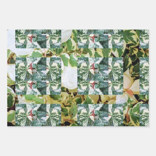 Botanische papierbladen voor cadeautjes inpakpapier vel (Voorkant 3)