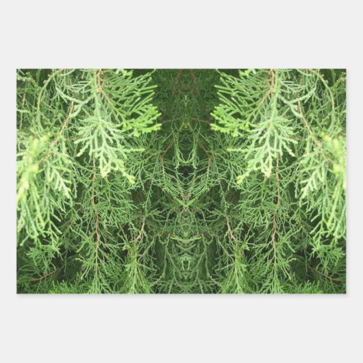 Botanische papierbladen voor cadeautjes inpakpapier vel (Voorkant 2)