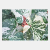 Botanische papierbladen voor cadeautjes inpakpapier vel (Voorkant)