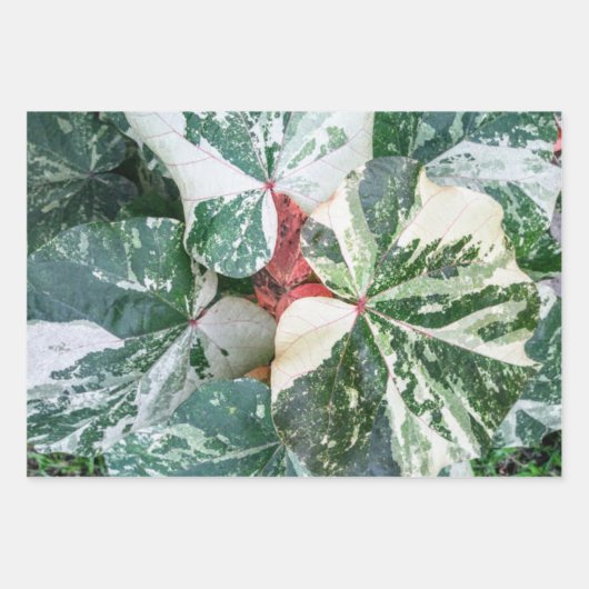 Botanische papierbladen voor cadeautjes inpakpapier vel (Voorkant)