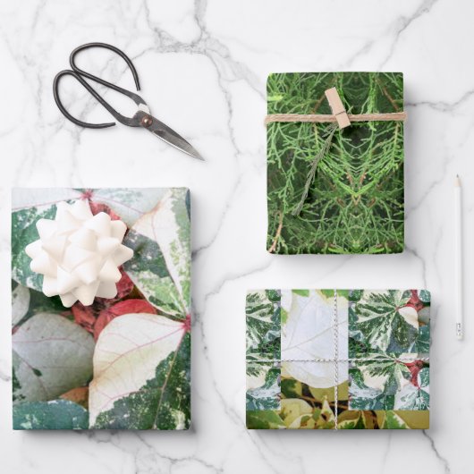 Botanische papierbladen voor cadeautjes inpakpapier vel (Voorkant)