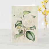  botanische parelCamellia Kaart (Gele Bloem)