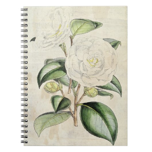 botanische parelCamellia Notitieboek (Voorkant)