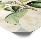  botanische parelCamellia Poster (Hoek)