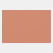 Botanische Patroon Terracotta - Inpakpapier Set (Voorkant 3)