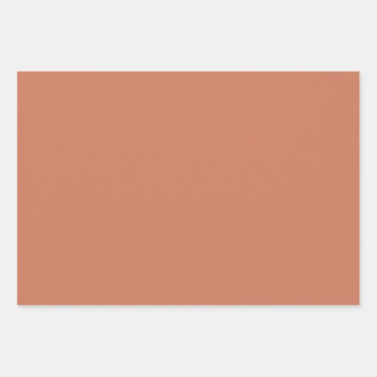 Botanische Patroon Terracotta - Inpakpapier Set (Voorkant 3)