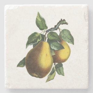 botanische peren stenen onderzetter