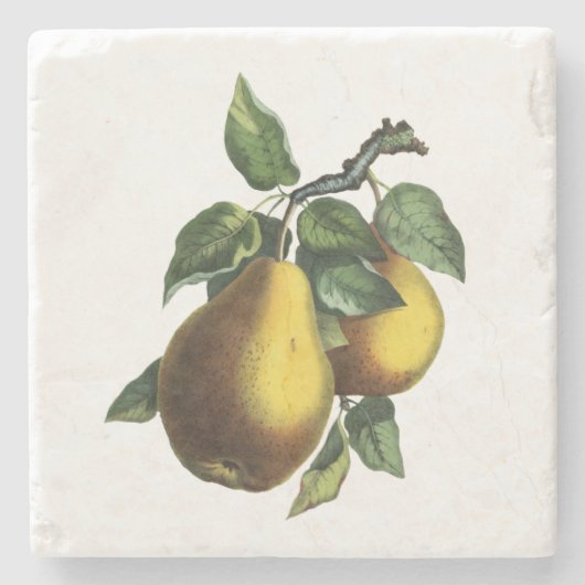  botanische peren stenen onderzetter (Voorkant)