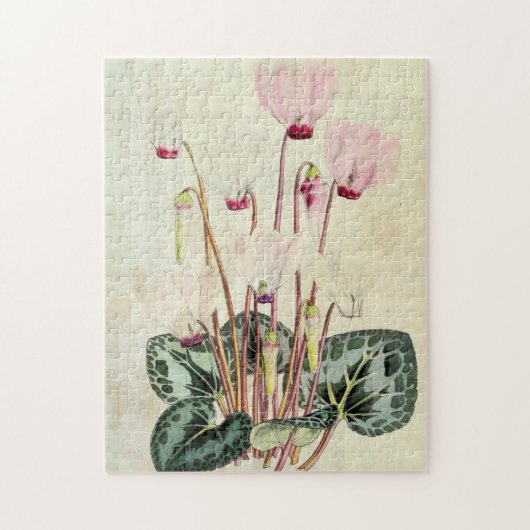 Botanische Perzische Cyclamen Legpuzzel (Verticaal)