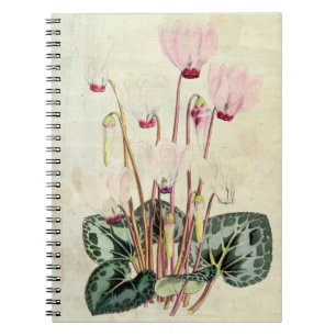 Botanische Perzische Cyclamen Notitieboek