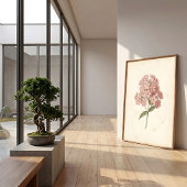 Botanische Phlox Muur Kunstprint Poster
