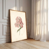 Botanische Phlox Muur Kunstprint Poster