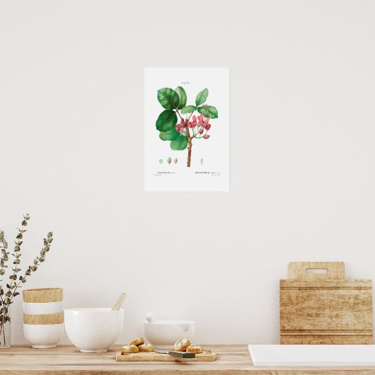  BOTANISCHE "PISTACHIO" REDOUTÉ POSTER (Keuken)