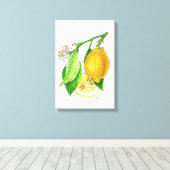 Botanische plaat: citroen 'Limonier ferraris' Canvas Afdruk (Insitu (Houten vloer))