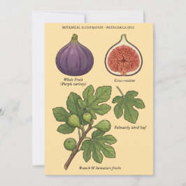 Botanische Plaat Vijg Ficus Carica Kaart