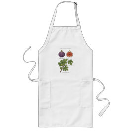 Botanische Plaat Vijg Ficus Carica Lang Schort