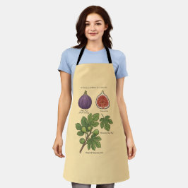 Botanische Plaat Vijg Ficus Carica Schort