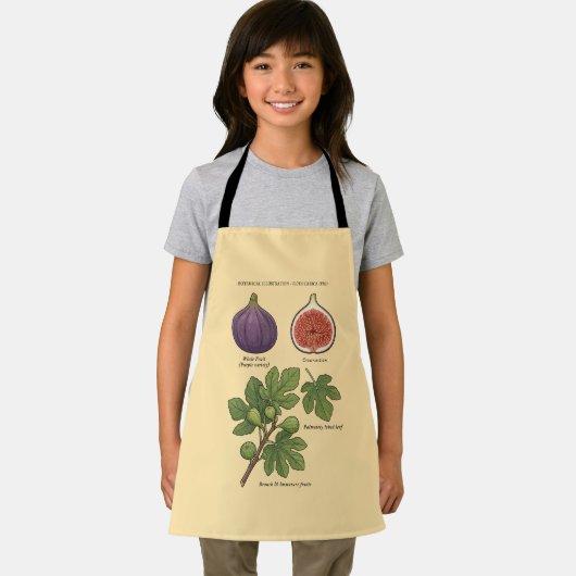 Botanische Plaat Vijg Ficus Carica  Schort (Insitu)