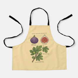 Botanische Plaat Vijg Ficus Carica Schort