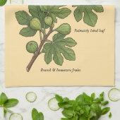 Botanische Plaat Vijg Ficus Carica Theedoek (Gevouwen)