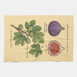 Botanische Plaat Vijg Ficus Carica Theedoek