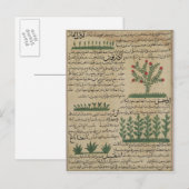 Botanische planten, illustratie van 'The The Briefkaart (Voorkant / Achterkant)