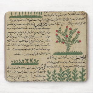 Botanische planten, illustratie van 'The The Muismat