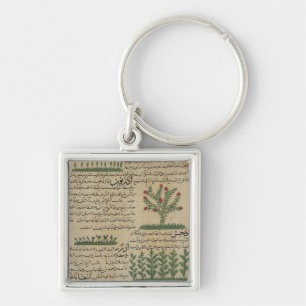 Botanische planten, illustratie van 'The The Sleutelhanger