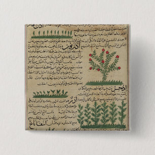 Botanische planten, illustratie van 'The The Vierkante Button 5,1 Cm