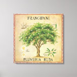 botanische plunjer-kunstdeco canvas afdruk<br><div class="desc">botanische plunjerius Frangipani Tree Art Deco. Een mooie wanddeco voor je keuken of eetgebied.</div>