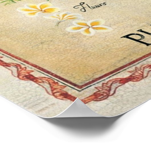  botanische plunjer-kunstdeco poster (Hoek)