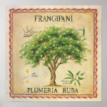 botanische plunjer-kunstdeco poster<br><div class="desc">botanische Plumeria Frangipani Tree Art Deco print. Als het omhuld wordt,  zou het een mooie wanddeco zijn voor je keuken of eetgebied.</div>