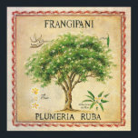 botanische plunjer-kunstdeco poster<br><div class="desc">botanische Plumeria Frangipani Tree Art Deco print. Als het omhuld wordt,  zou het een mooie wanddeco zijn voor je keuken of eetgebied.</div>