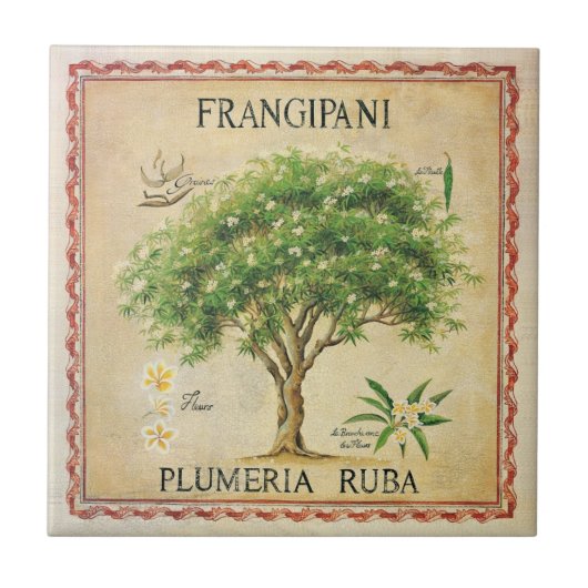  botanische plunjer-kunstdeco tegeltje (Voorkant)