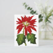 Botanische poinsettia-Briefkaart Feestdagenkaart (Staand voorkant)