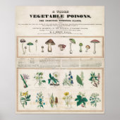  botanische poisoneuze Planten Onderwijs Poster (Voorkant)