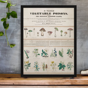  botanische poisoneuze Planten Onderwijs Poster