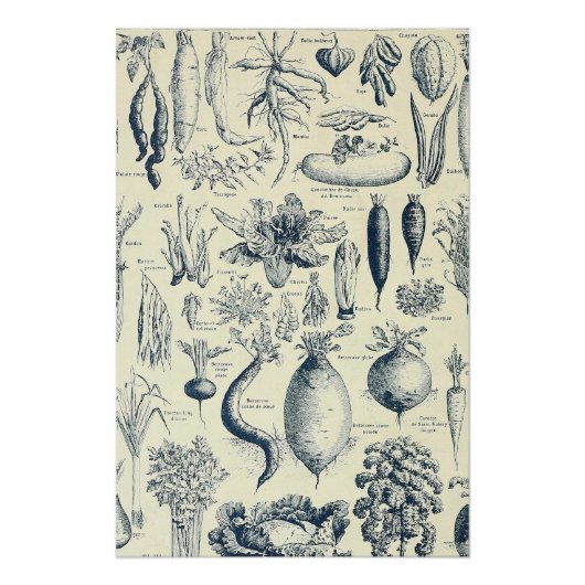 botanische poster (Voorkant)