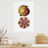Botanische poster van vruchten met POMEGRANAAT (Keuken)