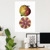 Botanische poster van vruchten met POMEGRANAAT (Thuiskantoor)