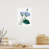 Botanische PREMIUM KWALITEITdrukknop van waterlijm Poster (Keuken)