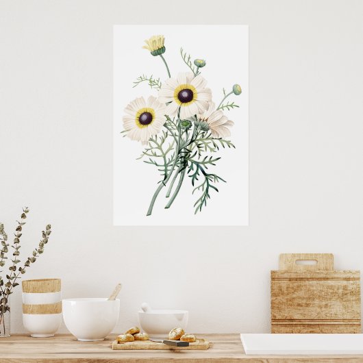 Botanische PREMIUM-KWALITEITprint van chrysanthemu Poster (Keuken)