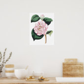 Botanische PREMIUM KWALITEITSDruk van camellia Poster (Keuken)