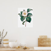 Botanische PREMIUM KWALITEITSDruk van camellia Poster (Keuken)