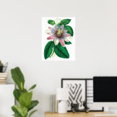 Botanische PREMIUM KWALITEITSDruk van passiflora Poster (Thuiskantoor)