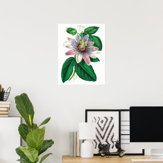 Botanische PREMIUM KWALITEITSDruk van passiflora Poster (Thuiskantoor)