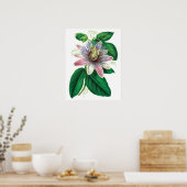 Botanische PREMIUM KWALITEITSDruk van passiflora Poster (Keuken)