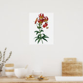 Botanische PREMIUM-KWALITEITSDruk van rode lib Poster (Keuken)