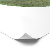 Botanische PREMIUM KWALITEITSdruk van spruitblader Poster (Hoek)