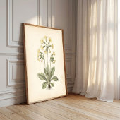 Botanische Primula Cottagecore Muurkunst Poster